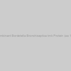 Image of Recombinant Bordetella Bronchiseptica tmk Protein (aa 1-208)